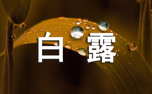 有关白露的古诗