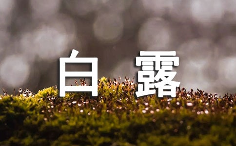 白露朋友圈说说