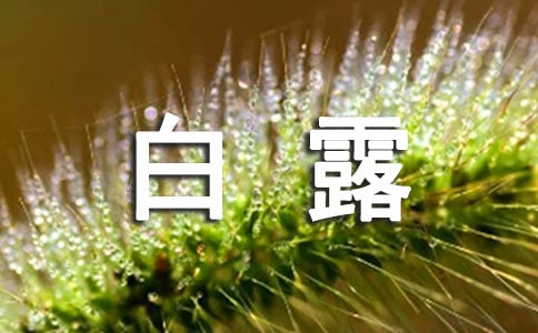 适合白露发的说说