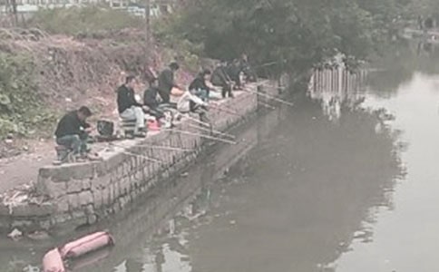 钓鱼日记范文集合九篇