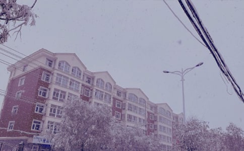 【实用】冬日日记4篇