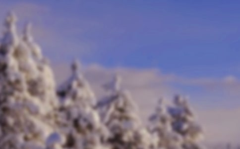 关于冬天的说说