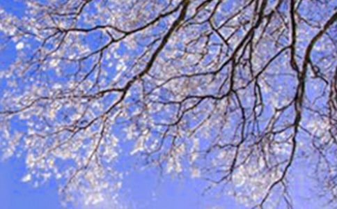 关于冬天的说说(15篇)