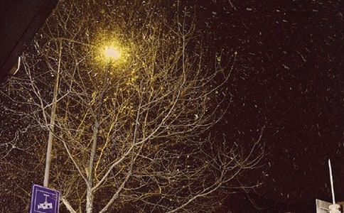 （优选）冬天的古诗15篇