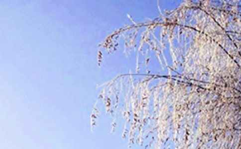 冬天的现代著名诗歌（精选10首）