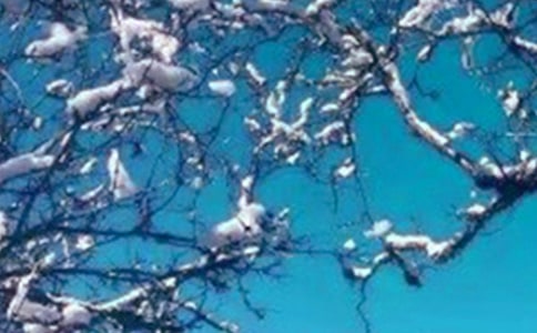 形容冬天的说说