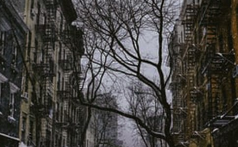 小学描写冬天的古诗