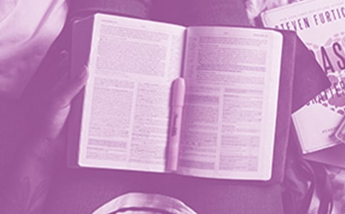 笑猫日记读后感【推荐】