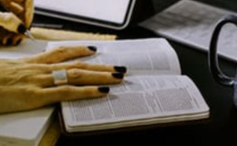 笑猫日记读后感(15篇)