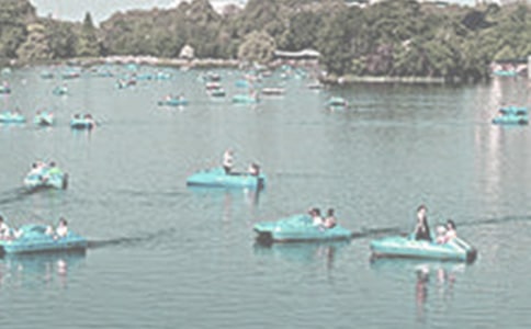 泛舟人生散文随笔