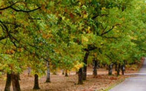 风景的心情说说