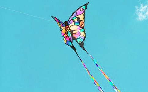 实用的放风筝日记【精华】