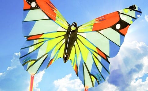 放风筝日记(实用)