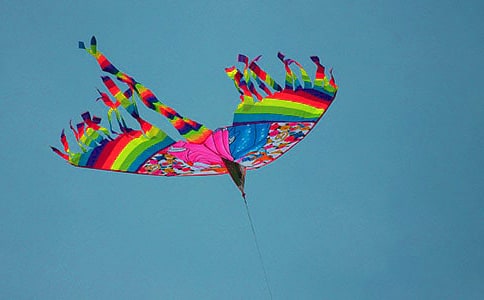 （热门）放风筝日记