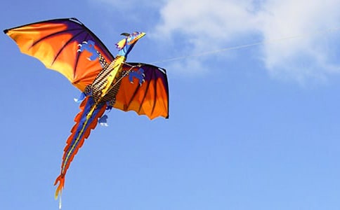 放风筝日记(精选)