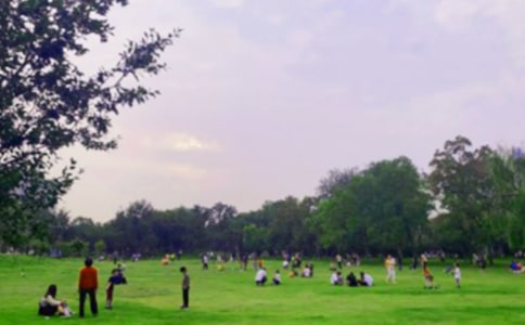 公园玩的日记集锦九篇