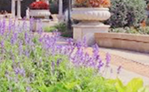 去公园玩的日记四篇