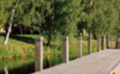 到公园游玩的日记