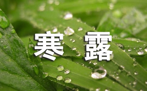 寒露经典古诗
