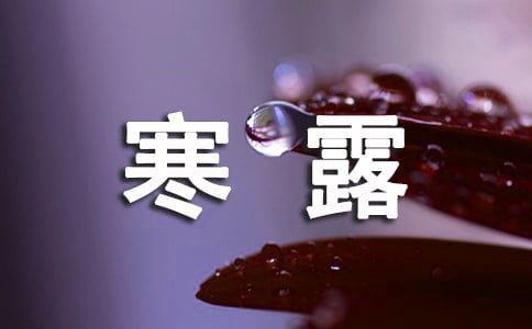 寒露的相关说说