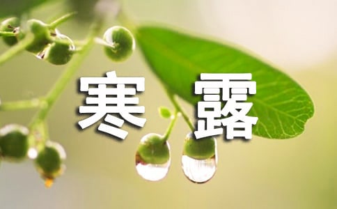 关于寒露古诗