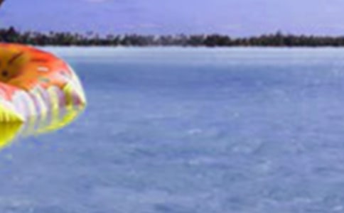 假期的收获日记450字