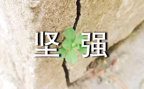 经典坚强说说签名30句精选