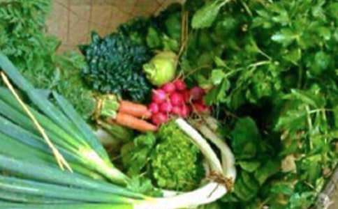 健康的身体比什么都重要的说说