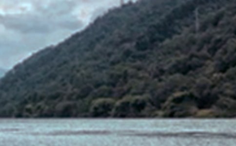 描写四季景色的古诗