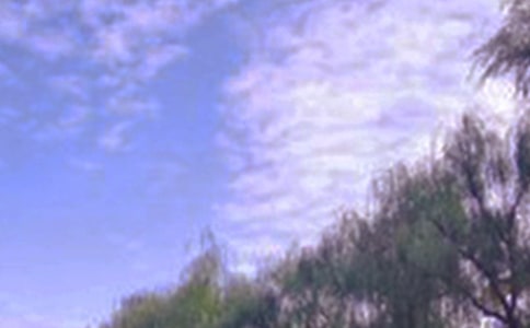 孔绍安书写早秋落叶景色古诗《落叶》