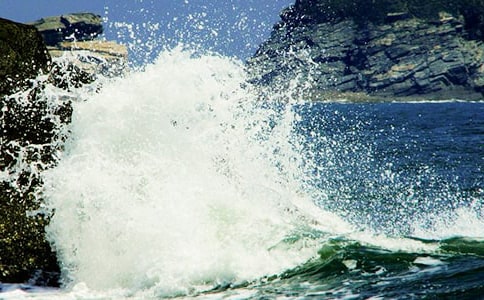 生活中的小浪花周记