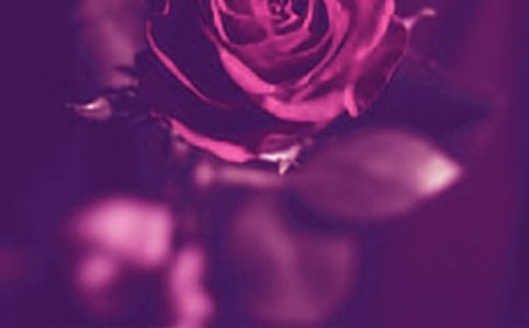 关于浪漫唯美说说语录（通用40句）