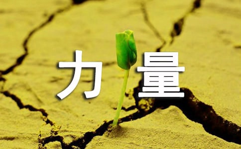 微笑的力量周记