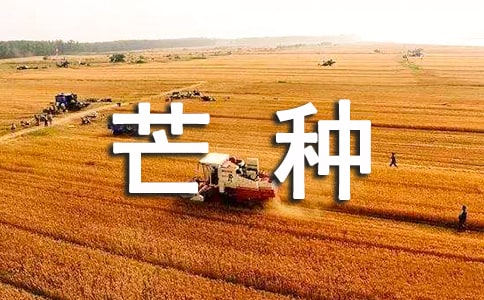 芒种收麦古诗（精选12首）