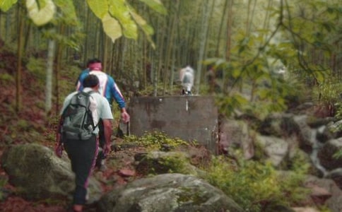 【精品】爬山日记4篇