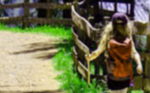 爬山的日记15篇[优选]