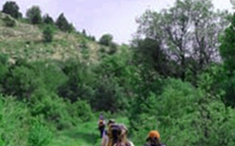 实用的爬山的日记集合六篇