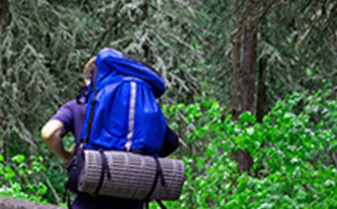 周末带孩子们爬山的说说文案