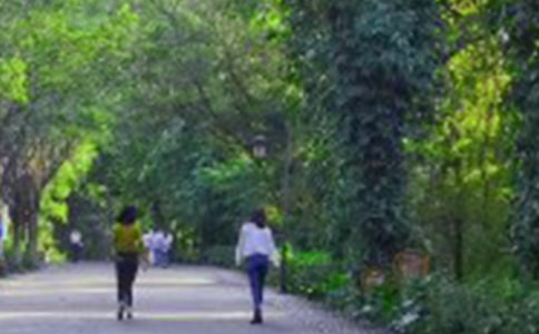 爬山很累的心情说说