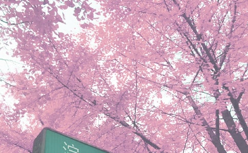 秋季的节气的古诗