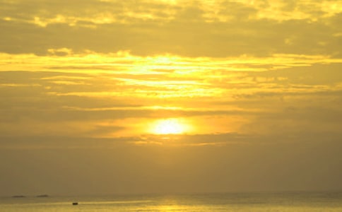 关于看日出日记三篇