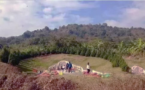 有关扫墓的日记