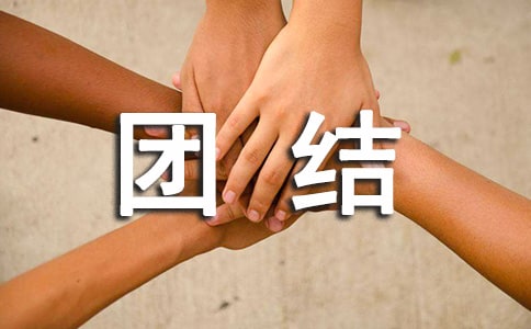 关于团结协作的说说