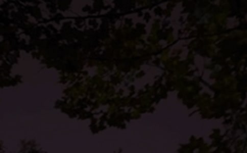 晚安的朋友圈说说15篇