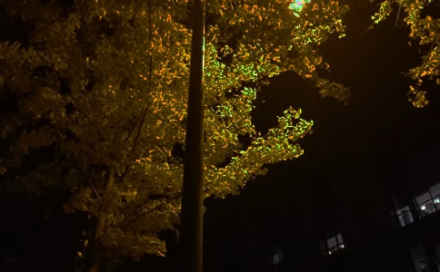 关于温馨晚安说说80句精选