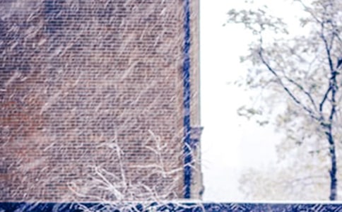 下雪了日记15篇[必备]