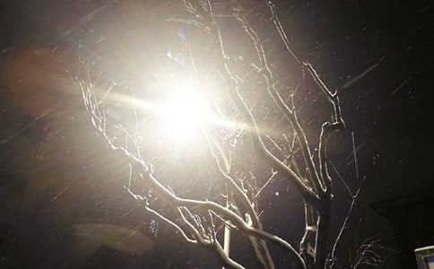 实用的下雪日记10篇（热）