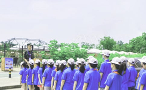 关于夏令营的日记集合8篇