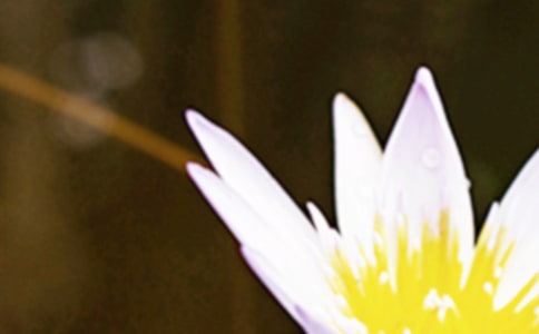 有关夏至的说说