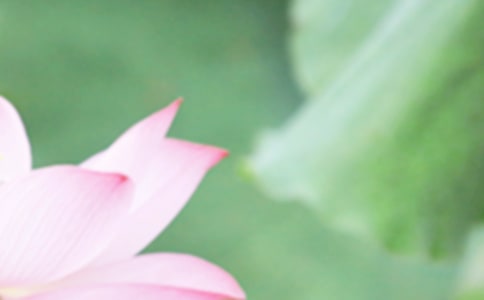 描述夏至的诗选和六首古诗